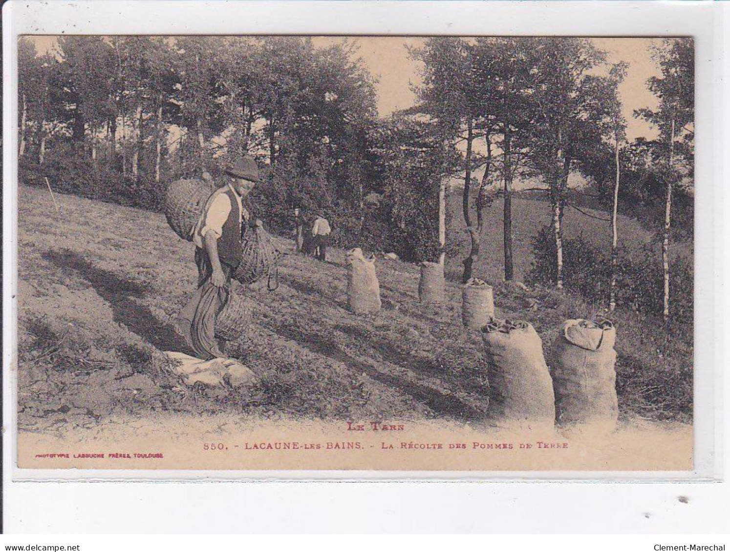 LACAUNE-les-BAINS: La Récolte Des Pommes De Terre, Labouche - Très Bon état - Autres & Non Classés