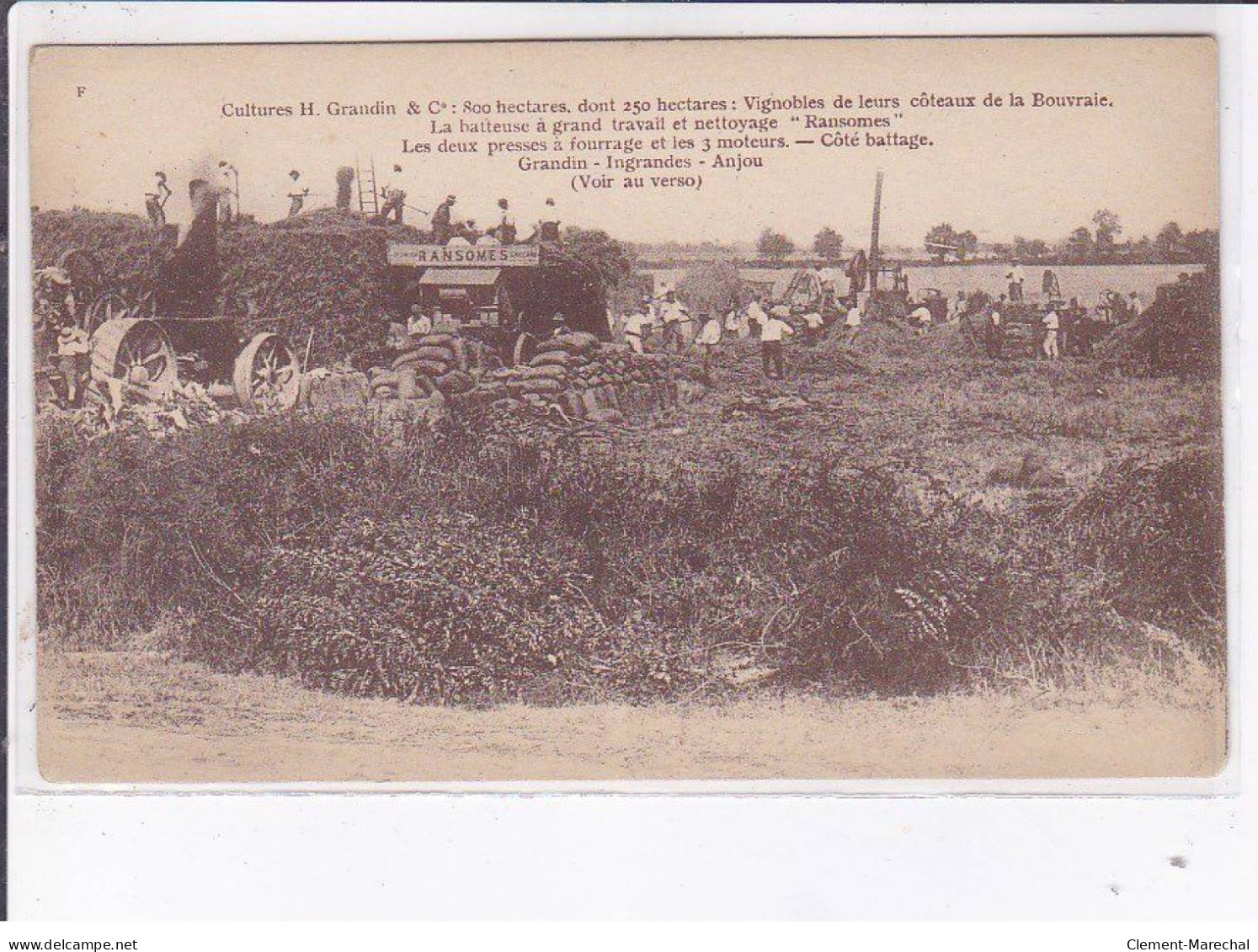 BOUVRAIE: Cultures H. Grandin Vignobles De Leurs Côteaux De La Bouvraie - Très Bon état - Autres & Non Classés