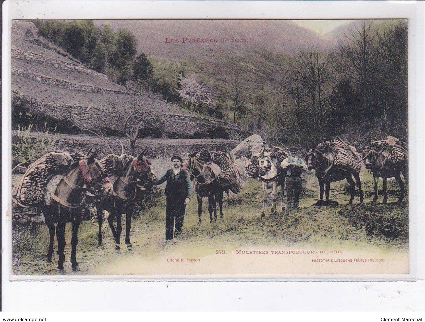 PYRENEE-ORIENTAL: Muletier Transporteurs De Bois - Très Bon état - Altri & Non Classificati