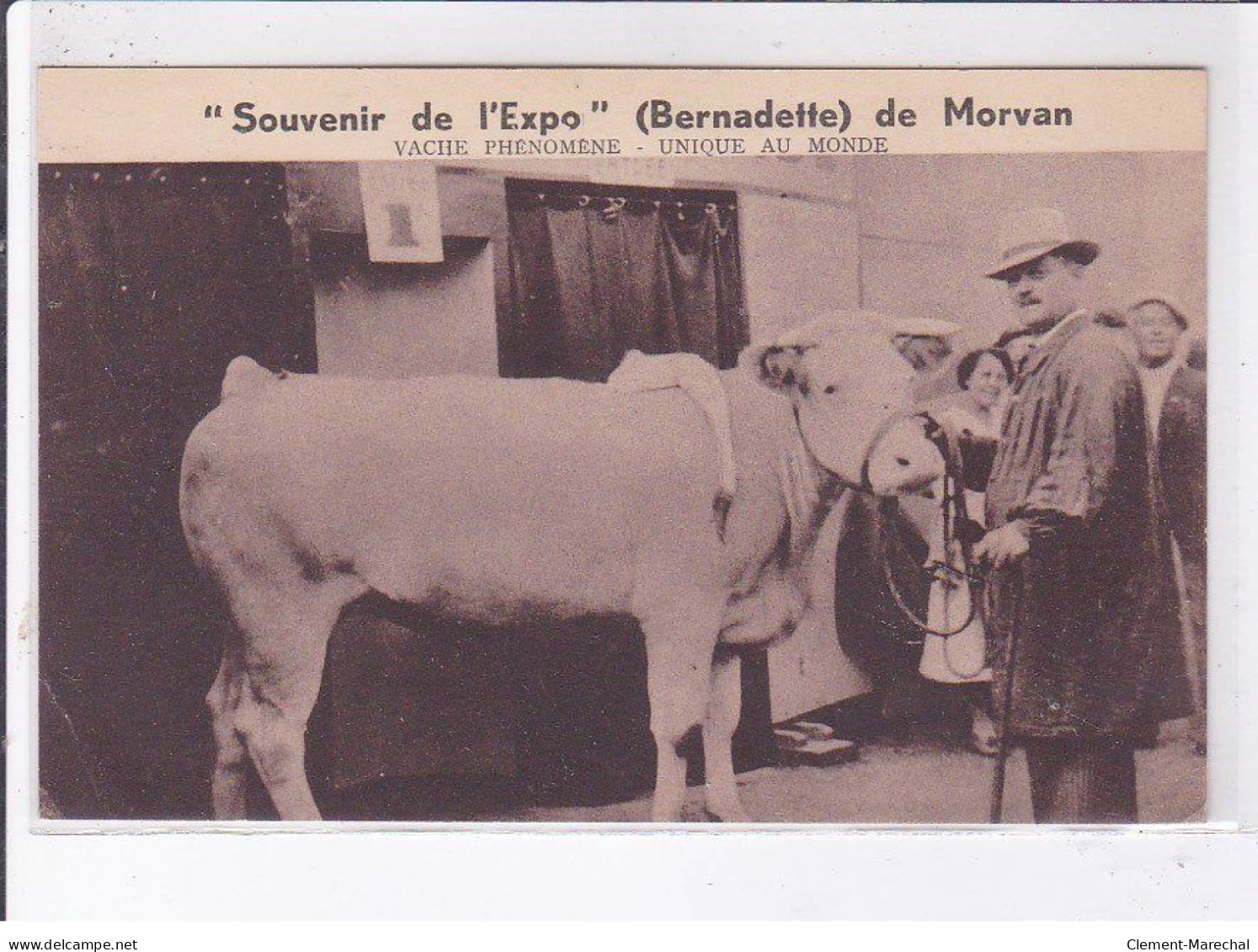 NIEVRE: Souvenir De L'expo Bernadette De Morvan Vache Phénomène Unique Au Monde - état - Andere & Zonder Classificatie