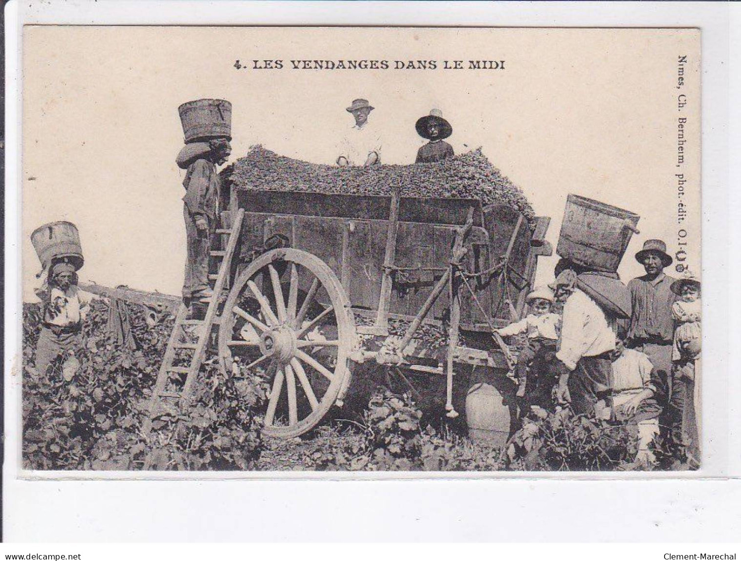 GARD: Les Vendanges Dans Le Midi - Très Bon état - Otros & Sin Clasificación