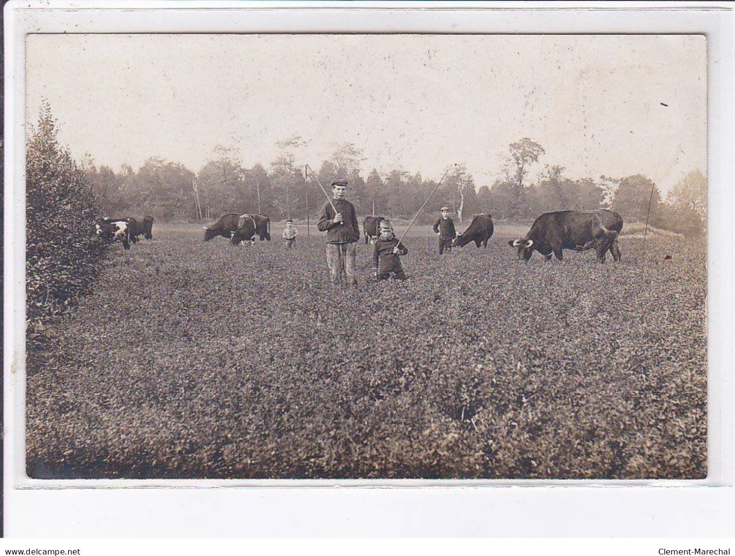 CREPY-en-VALLOIS(environs): Agriculture - Très Bon état - Crepy En Valois