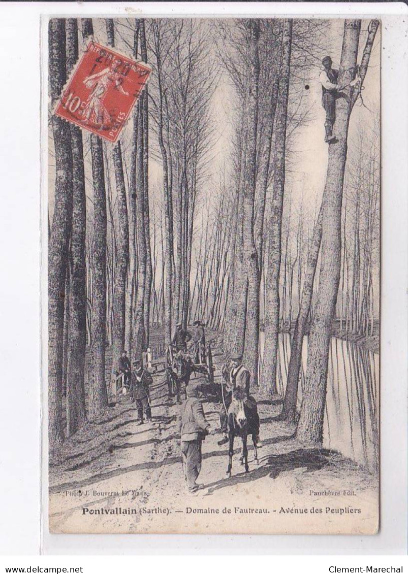 PONTVALLAIN: Domaine De Vautreau, Avenue Des Peupliers, Bois, élagueurs - Très Bon état - Pontvallain