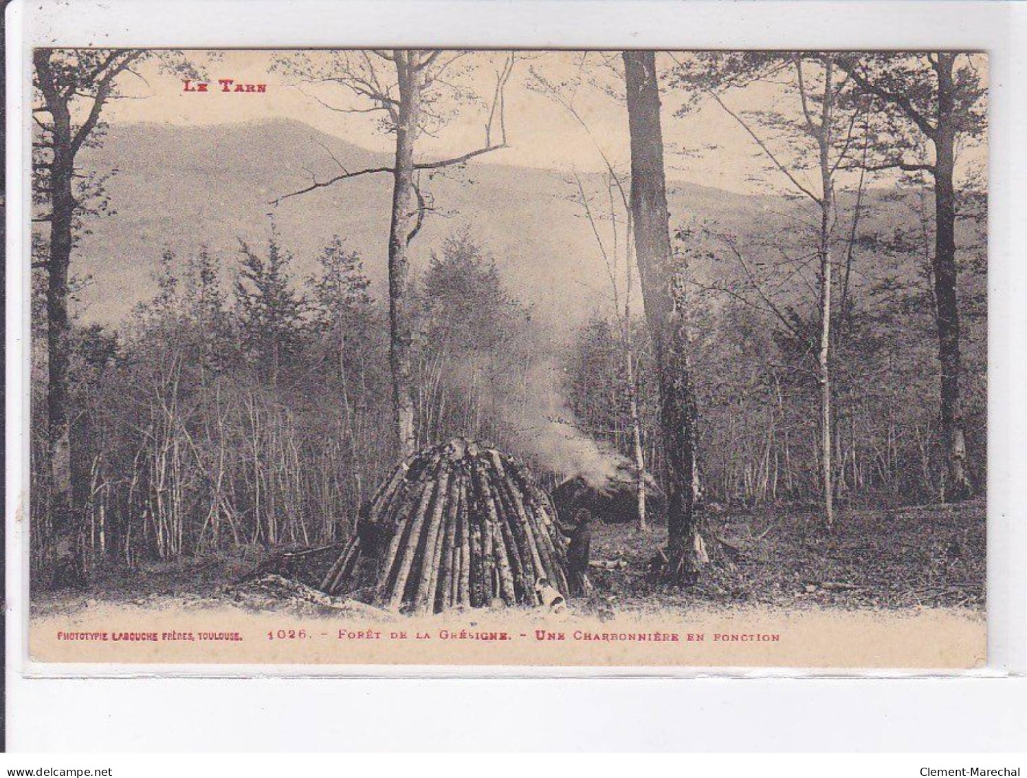 TARN: Bois,forêt De La Grésigne Une Charbonnière En Fonction - Très Bon état - Sonstige & Ohne Zuordnung