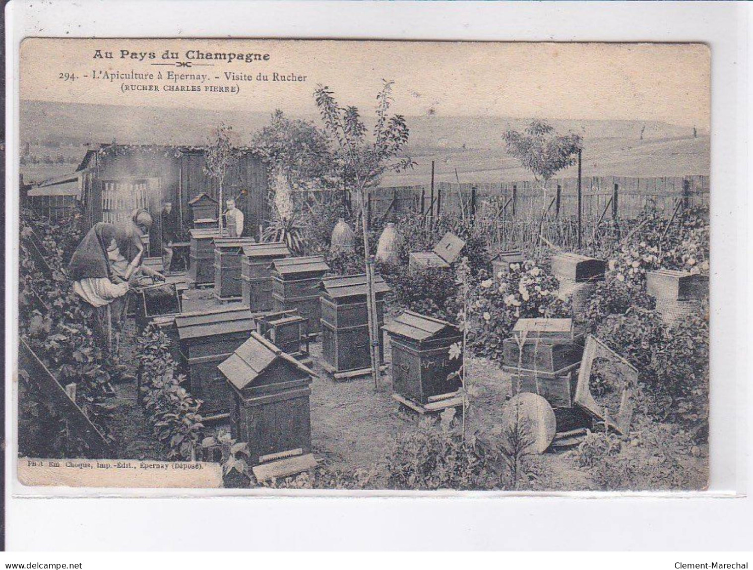 EPERNAY: L'apiculture à Epernay, Visite Du Rucher Charles Pierre - Très Bon état - Epernay