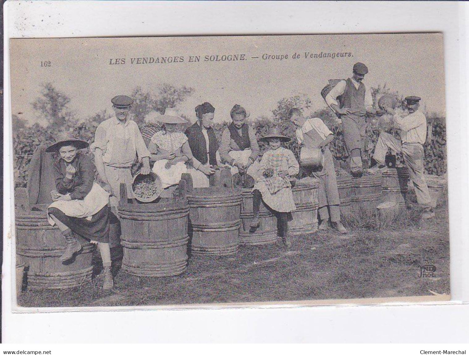 LOIR ET CHER: Les Vendanges En Sologne Groupe De Vendangeurs - Très Bon état - Sonstige & Ohne Zuordnung