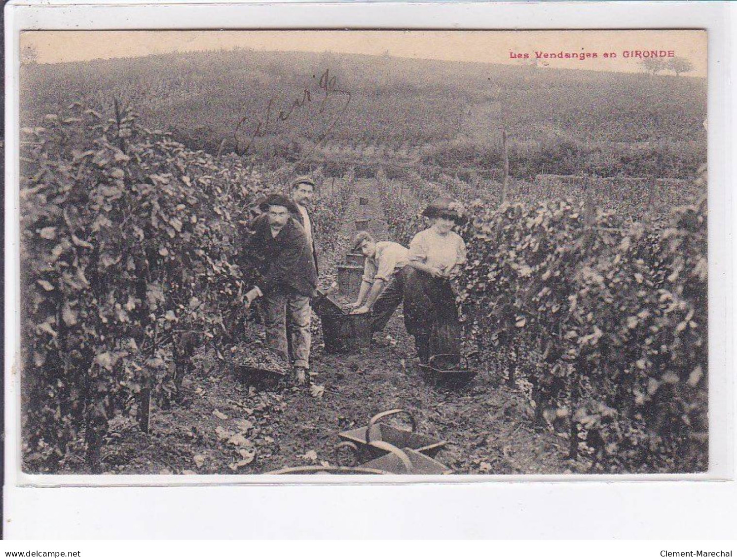 GIRONDE: Les Vendanges En Gironde - Très Bon état - Otros & Sin Clasificación