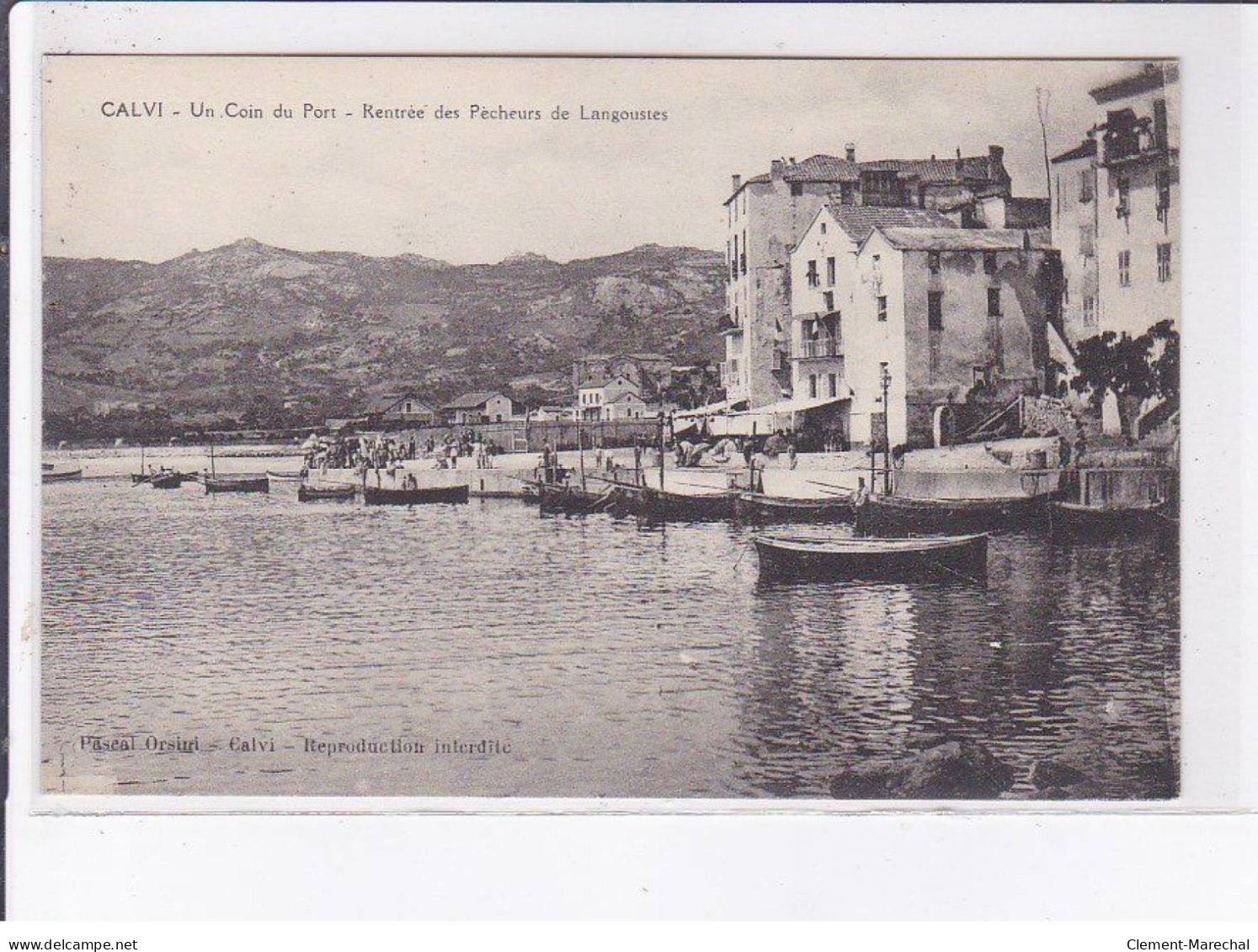 CALVI: Un Coin Du Port, Rentrée Des Pêcheurs De Langoustes - Très Bon état - Calvi