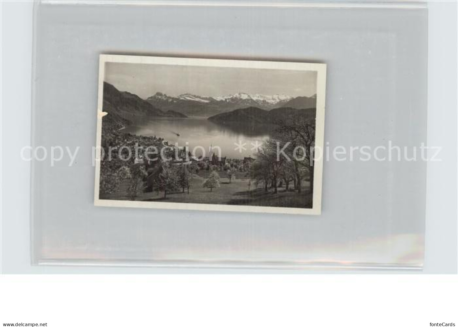 12589330 Weggis Vierwaldstaettersee Panorama Alpen Weggis - Andere & Zonder Classificatie