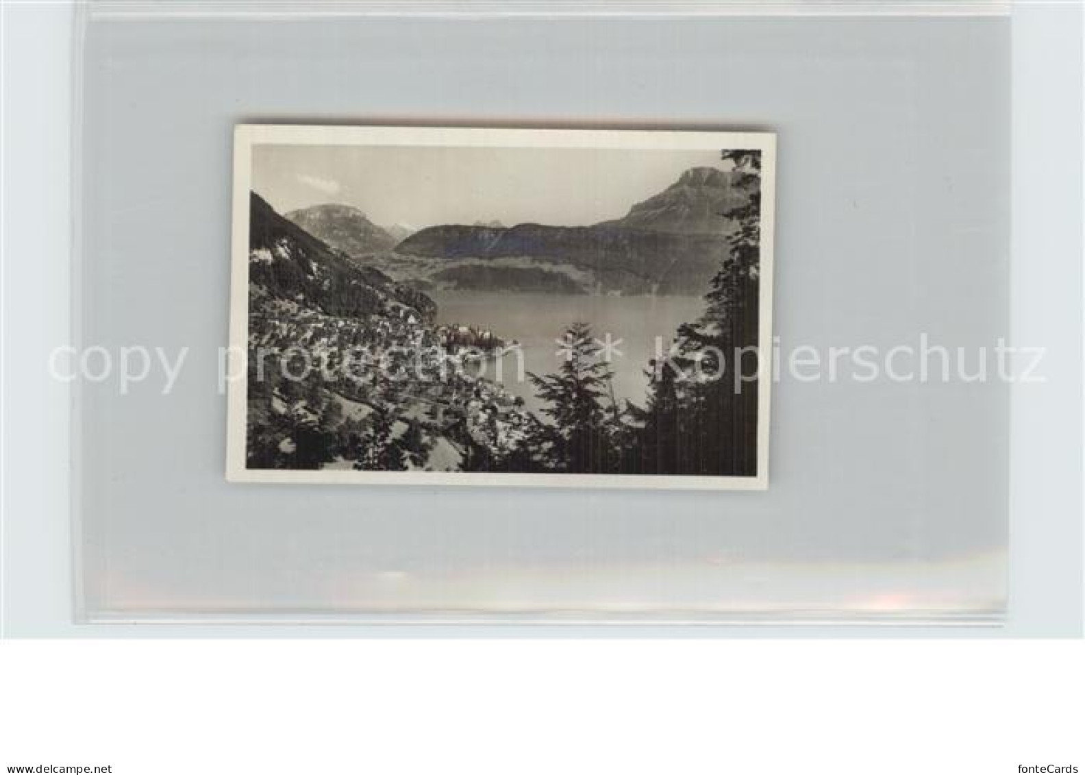 12589328 Gersau Vierwaldstaettersee Panorama Alpen Gersau - Autres & Non Classés