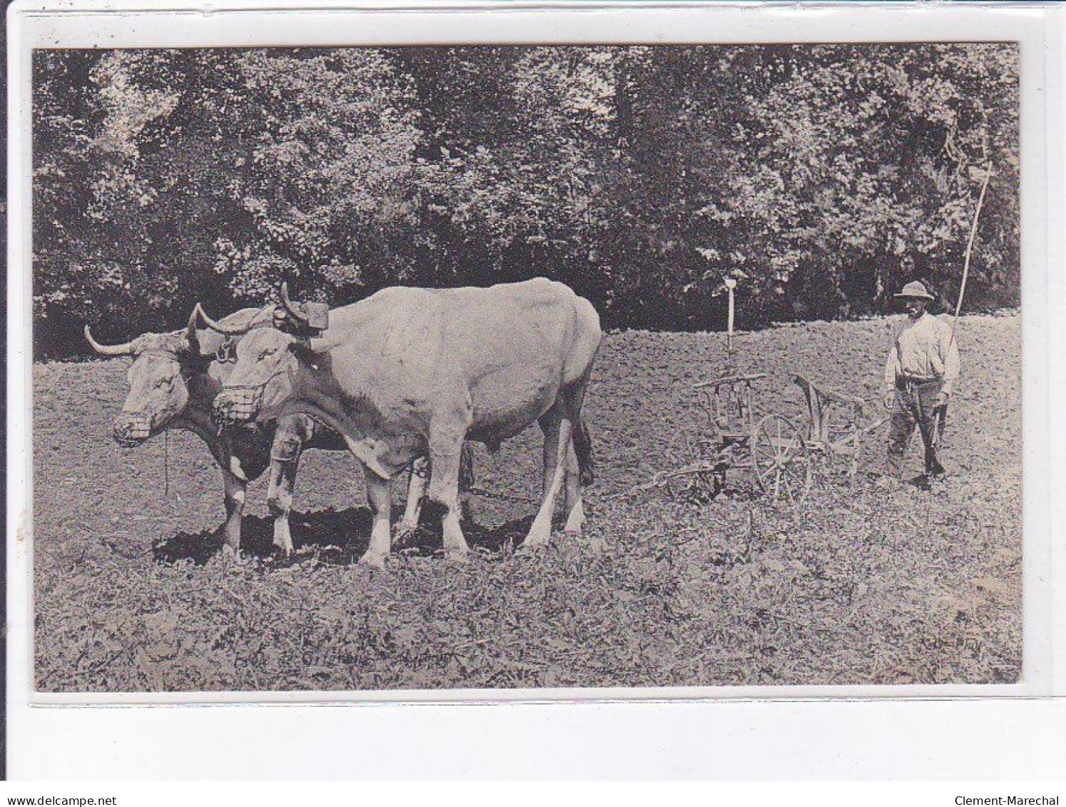 GRIGON : Neurdein, (labour, Agriculture-école)- Très Bon état - Other & Unclassified