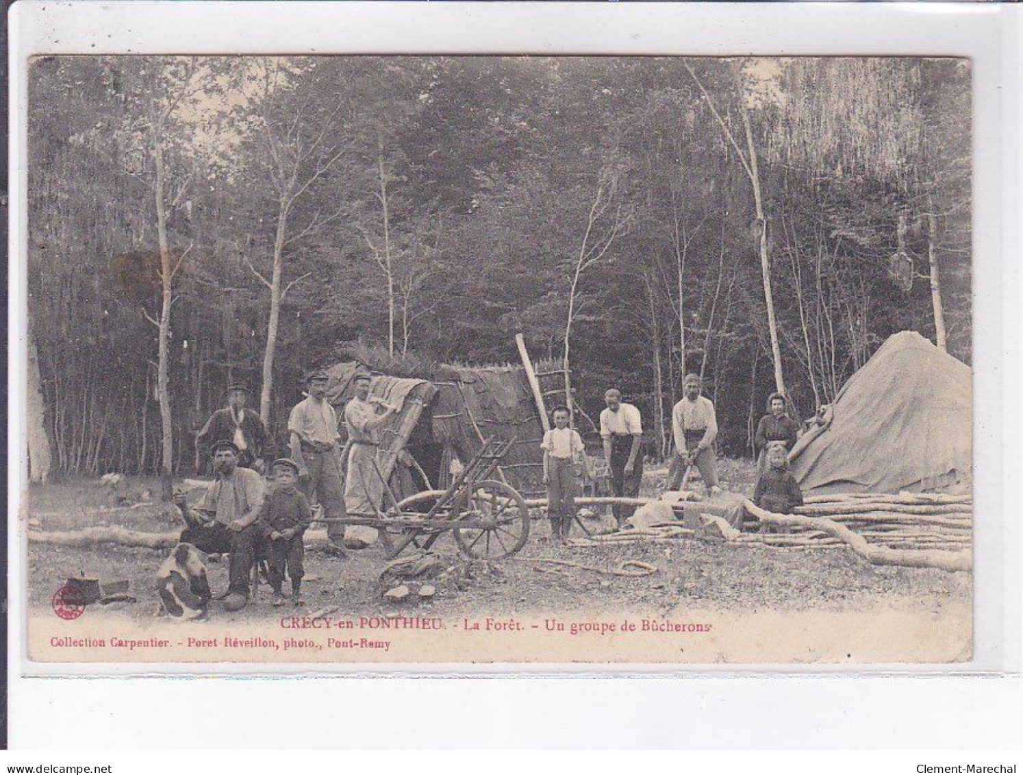 CRECY-en-PONTHIEU: La Forêt, Un Groupe De Bûcherons - Très Bon état - Crecy En Ponthieu