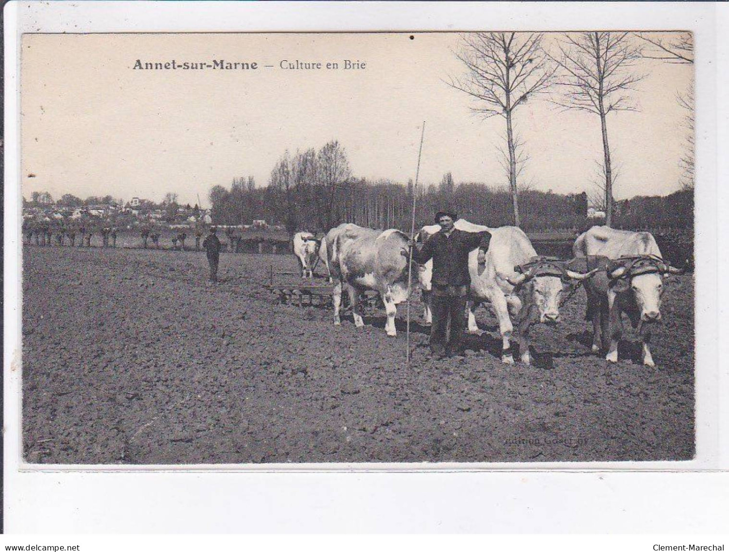 ANNET-sur-MARNE: Culture En Brie - Très Bon état - Autres & Non Classés