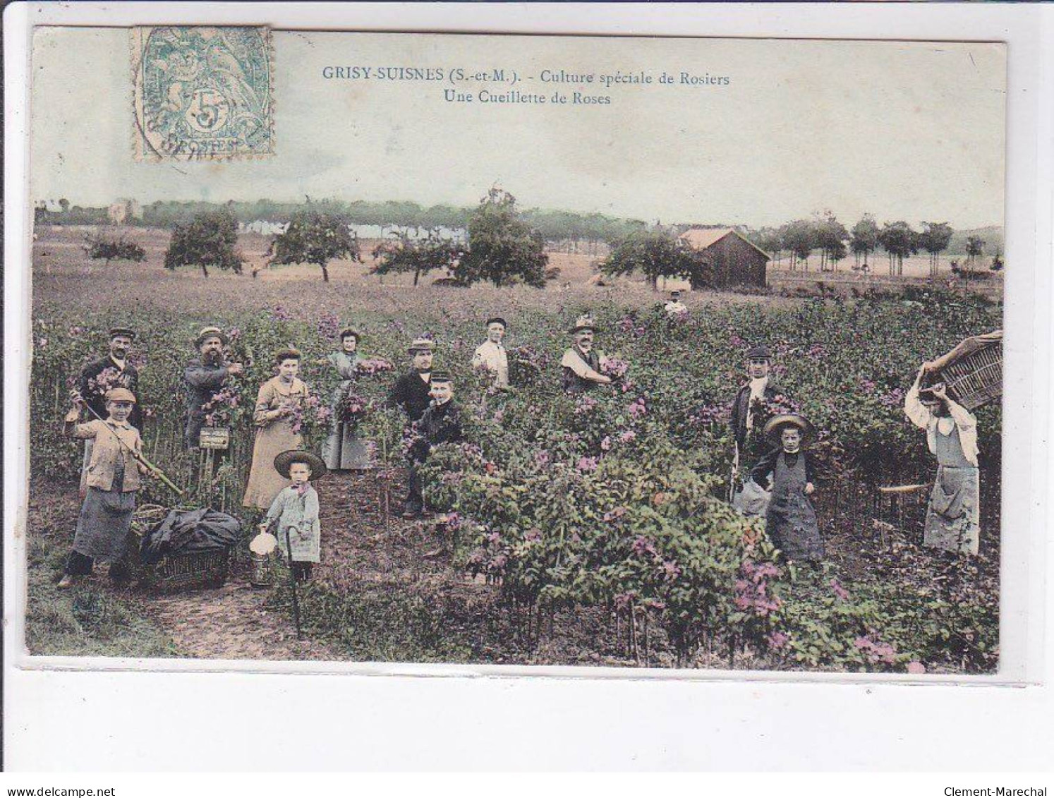 GRISY-SUISNES: Culture Spéciale De Rosiers, Une Cueillette De Roses - Très Bon état - Other & Unclassified