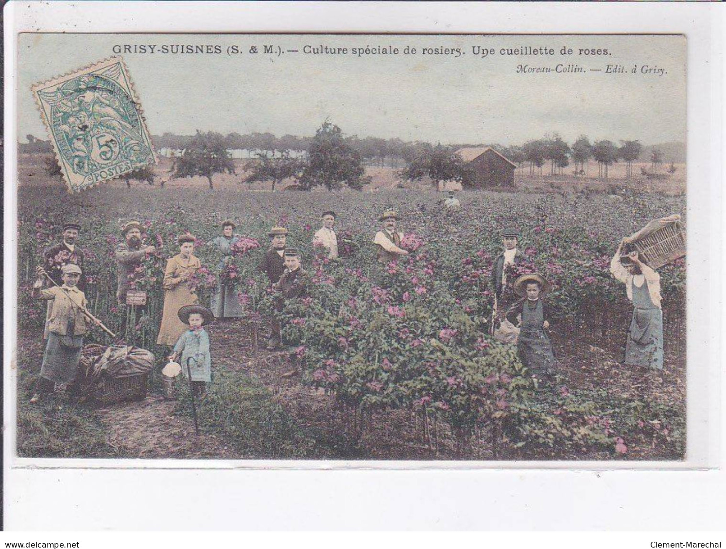 GRISY-SUISNES: Culture Spéciale De Rosiers, Une Cueillette De Roses - Très Bon état - Autres & Non Classés