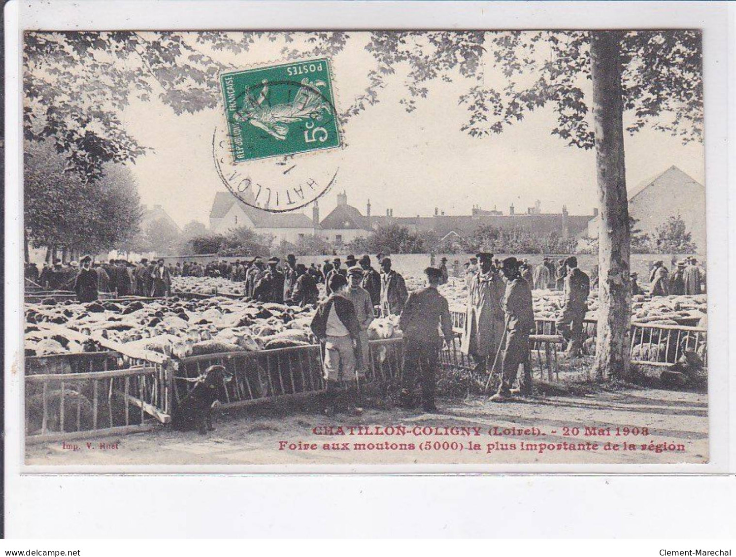 CHATILLON-COLIGNY: 20 Mai 1908, Foire Aux Moutons 5000, La Plus Importante De La Région - Très Bon état - Chatillon Coligny