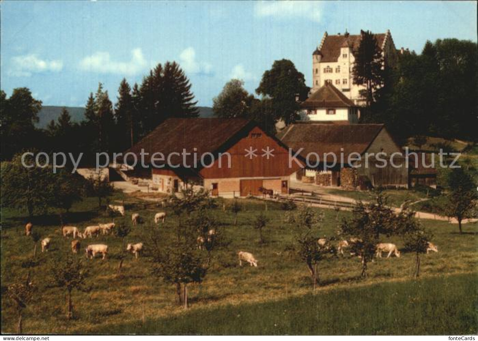 12589290 Stettfurt Schloss Sonnenberg Bauernhof Viehweide Kuehe Stettfurt - Sonstige & Ohne Zuordnung