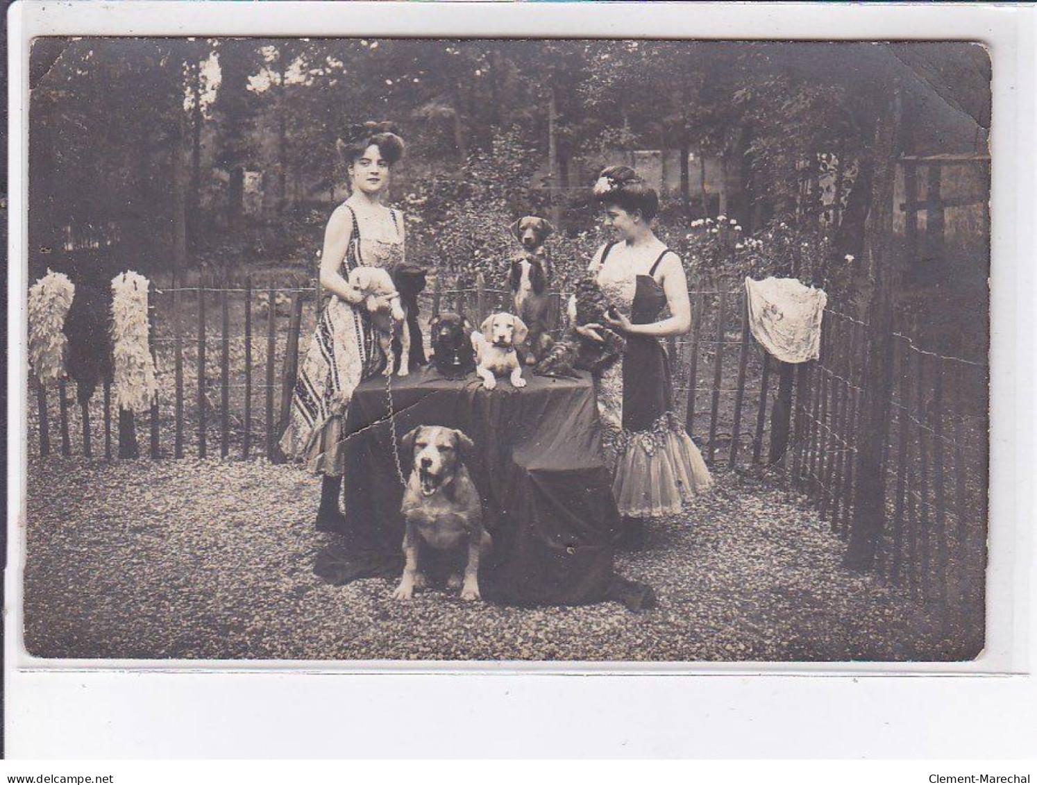 THEME: Dresseur De Chiens Et De Chats - état - Circus