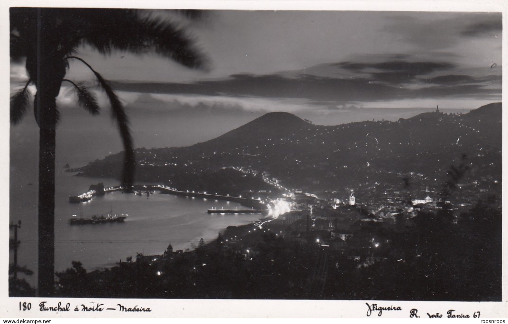 CARTE PHOTO MADEIRA MADERE - PORTUGAL - FUNCHAL LA NUIT - Madeira