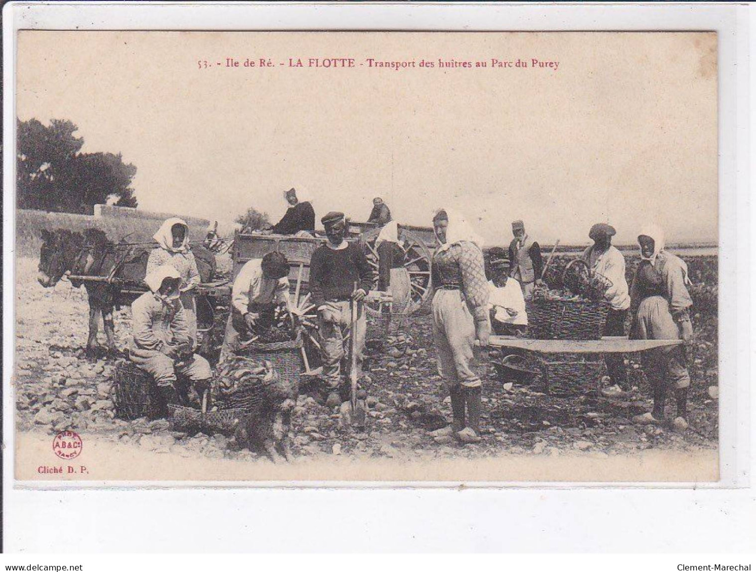 LAFLOTTE: Transport Des Huitres Au Parc Du Purey - Très Bon état - Andere & Zonder Classificatie