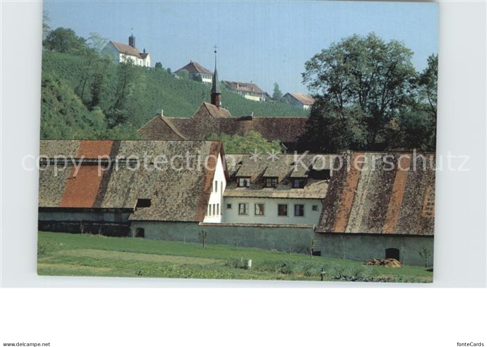 12589241 Ittingen Sankt Martinskapelle Warth Rebhang Warth - Autres & Non Classés