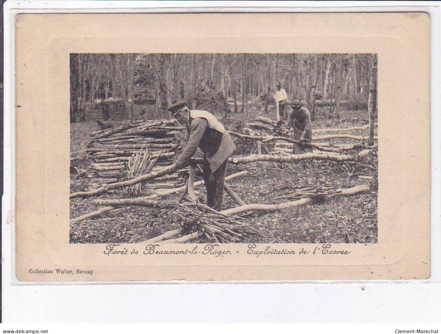 BEAUMONT-le-ROGER: Forêt, Exploitation De L'écorce - état - Beaumont-le-Roger