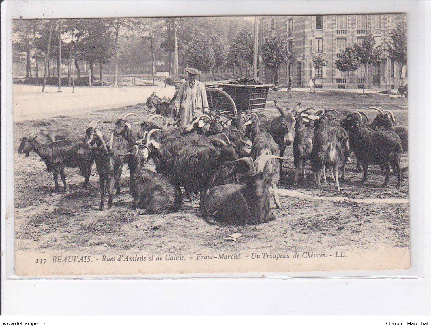 BEAUVAIS: Rues D'amiens Et De Calais, Franc-marché, Un Troupeau De Chèvres - Très Bon état - Beauvais