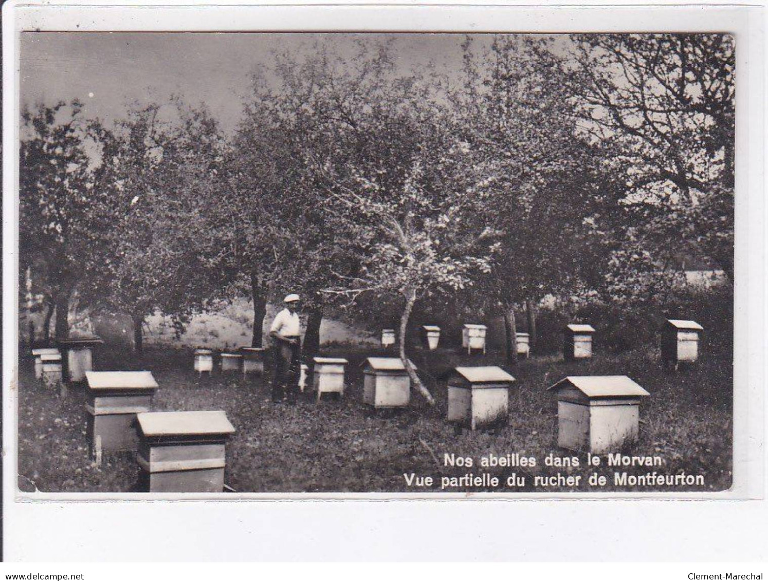 MONTFEURTON: Nos Abeilles Dans Le Morvan, Vue Partielle Du Rucher - Très Bon état - Altri & Non Classificati