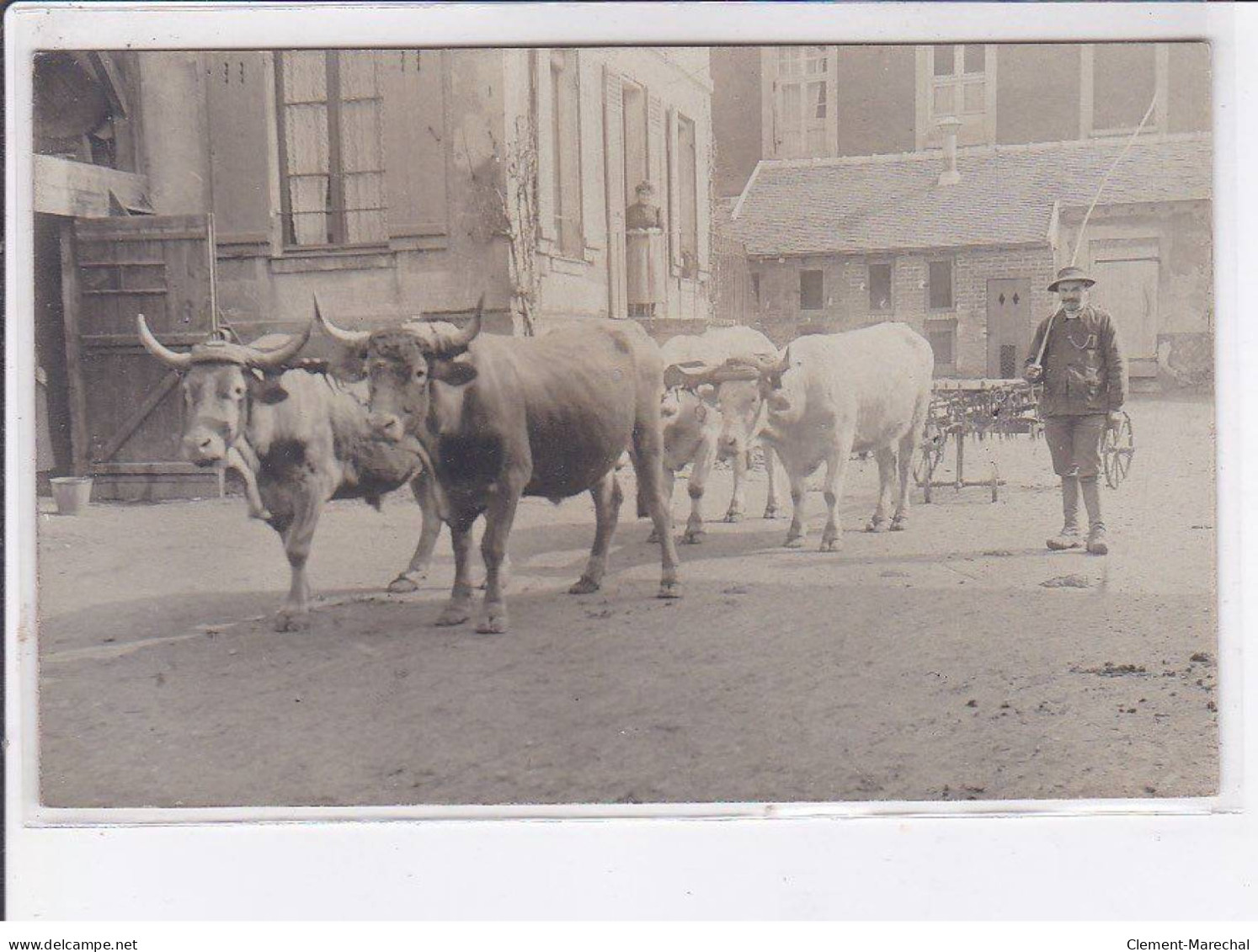 EURE ET LOIR Ou OISE: Agriculture, Ferme, Labour, 3CPA - Très Bon état - Sonstige & Ohne Zuordnung