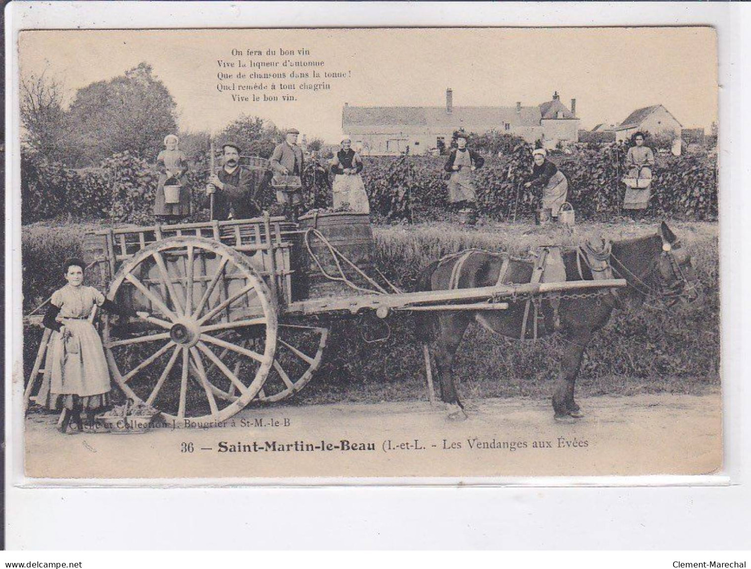 SAINT-MARTIN-le-BEAU: Les Vendanges Aux Evees - Très Bon état - Other & Unclassified