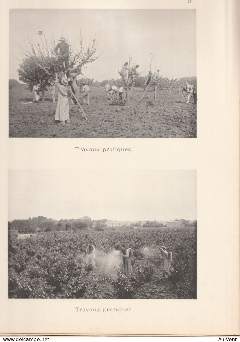 34 MONTPELLIER ALBUM ECOLE NATIONALE D'AGRICULTURE 1895 1898 COMPLET