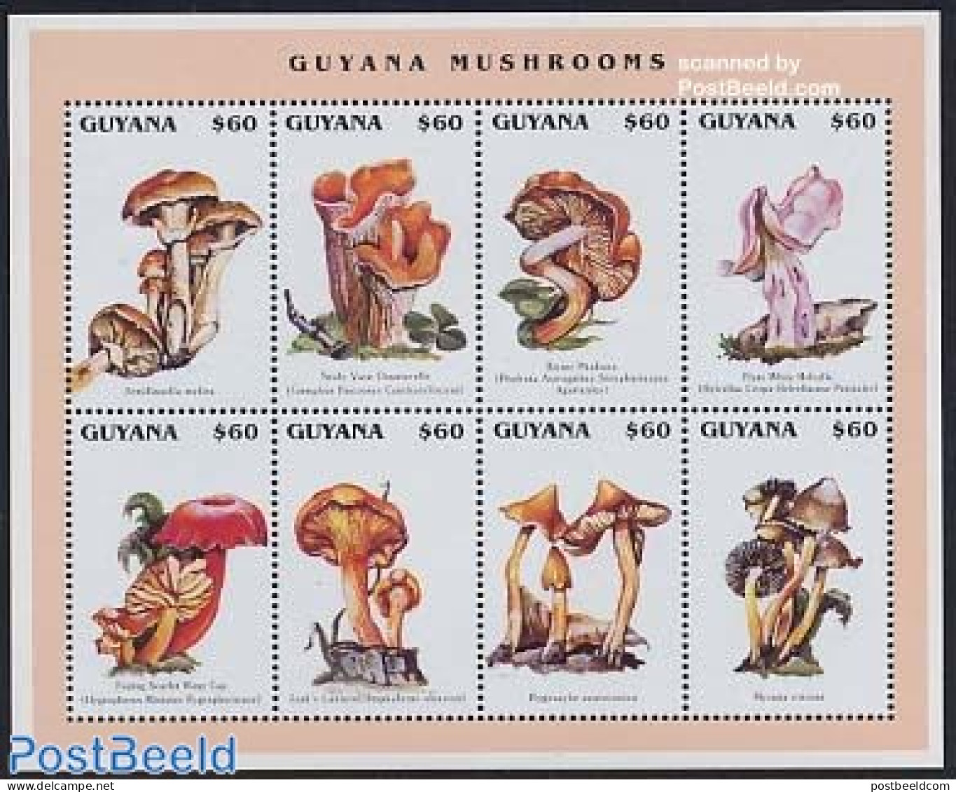 Guyana 1996 Mushrooms 8v M/s, Armillauella Mellea, Mint NH, Nature - Mushrooms - Funghi