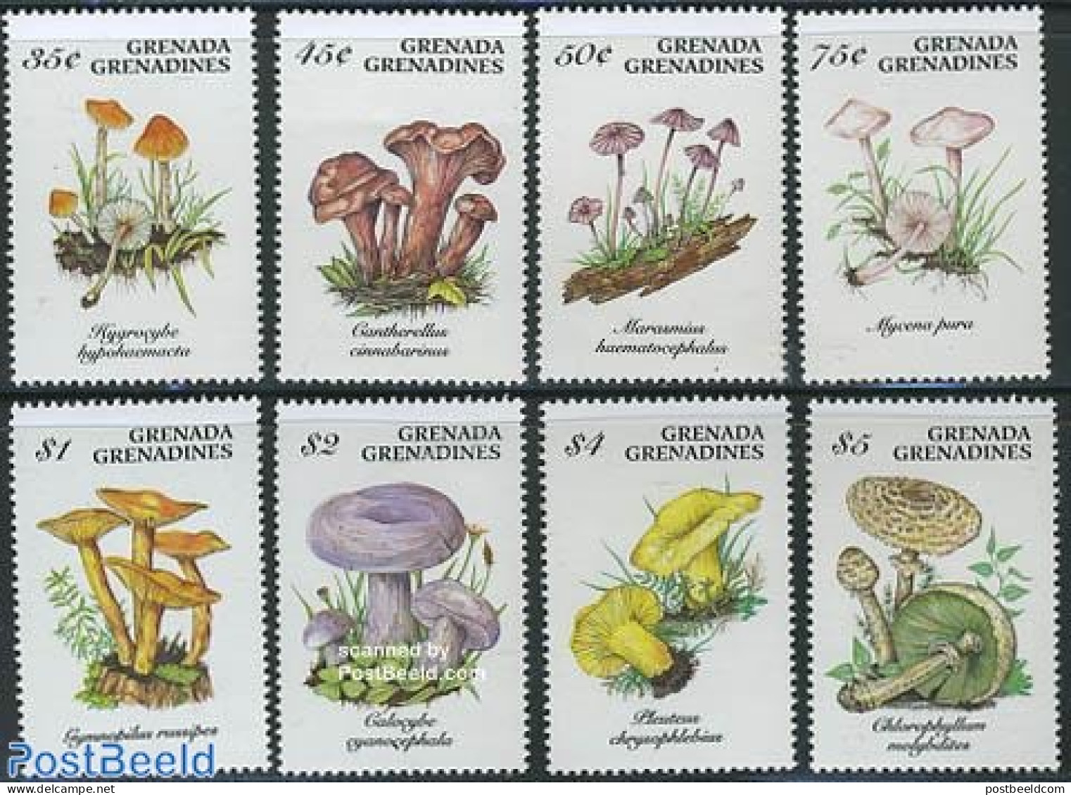 Grenada Grenadines 1994 Mushrooms 8v, Mint NH, Nature - Mushrooms - Pilze