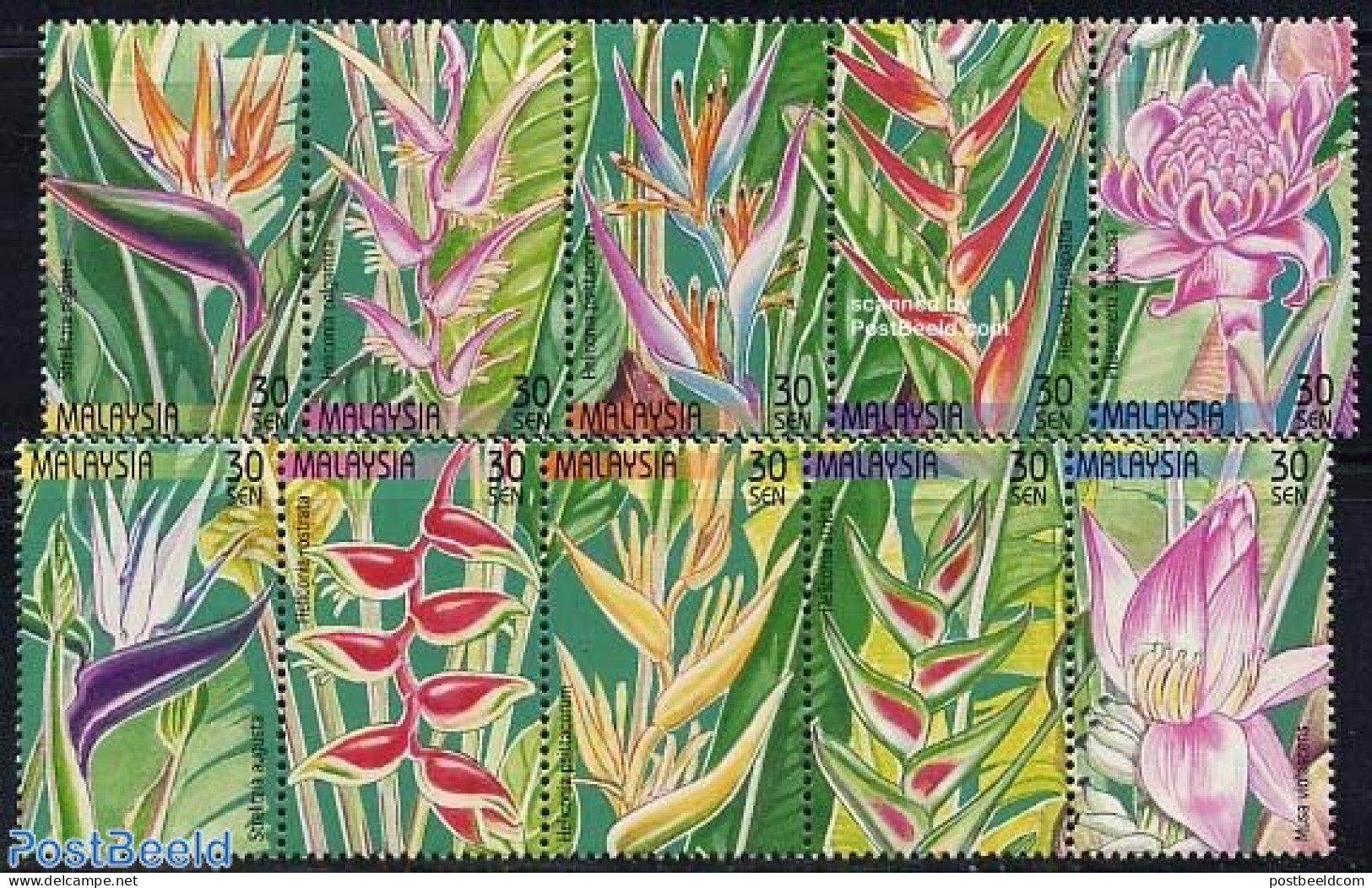 Malaysia 1999 Plants 10v, Mint NH, Nature - Flowers & Plants - Autres & Non Classés