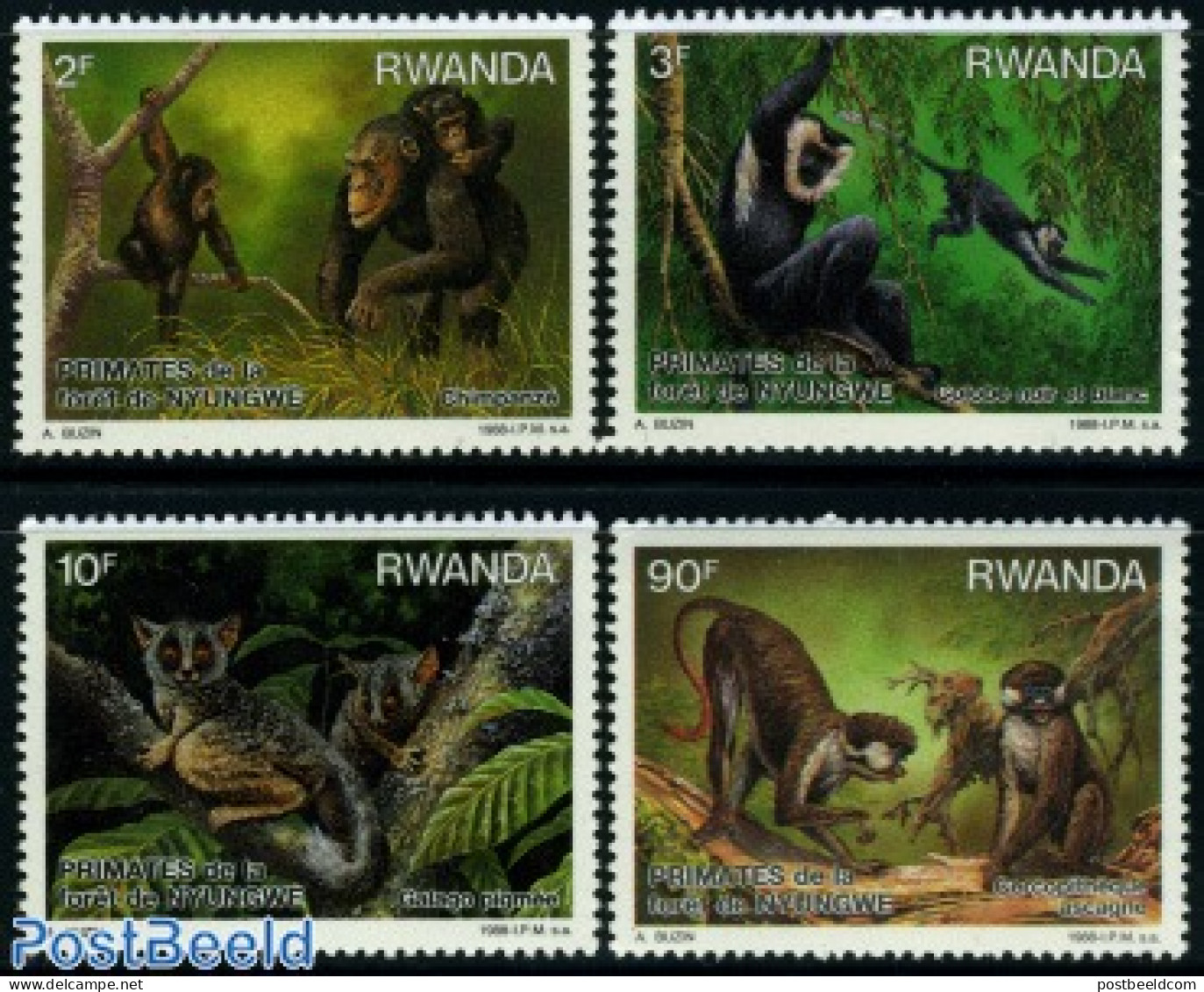 Rwanda 1988 Monkeys 4v, Mint NH, Nature - Animals (others & Mixed) - Monkeys - Otros & Sin Clasificación