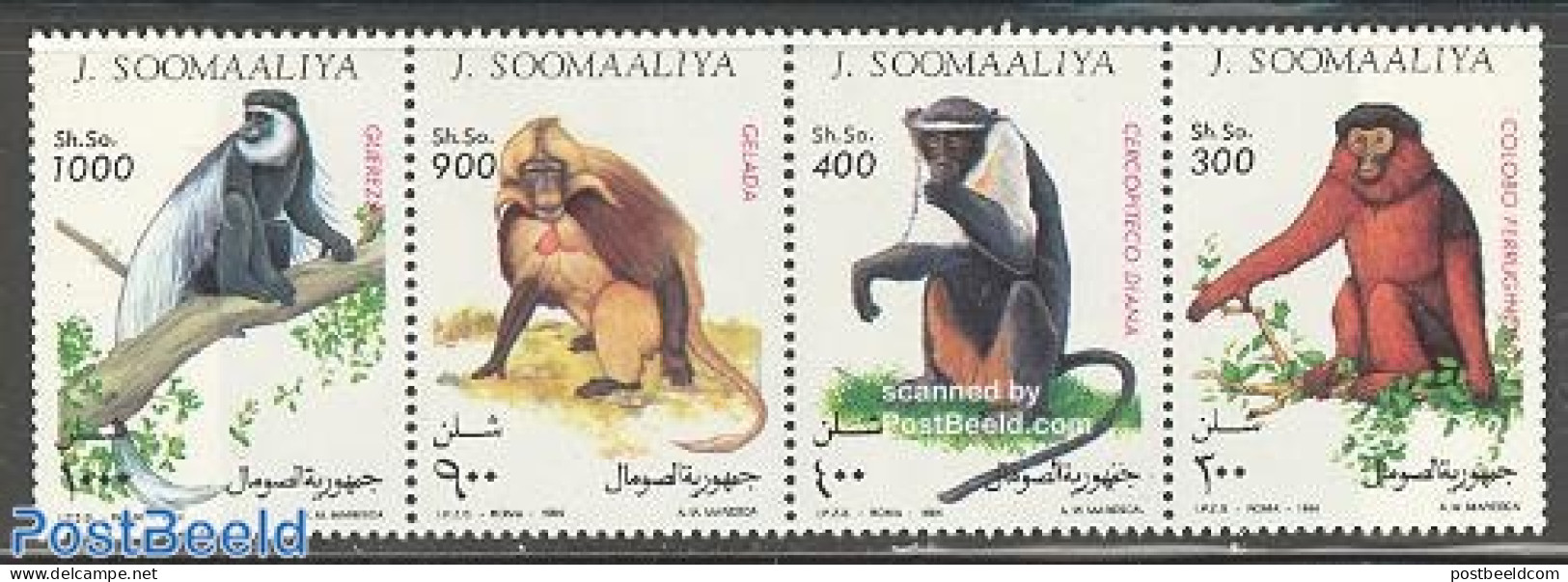 Somalia 1994 Monkeys 4v, Mint NH, Nature - Animals (others & Mixed) - Monkeys - Somalia (1960-...)