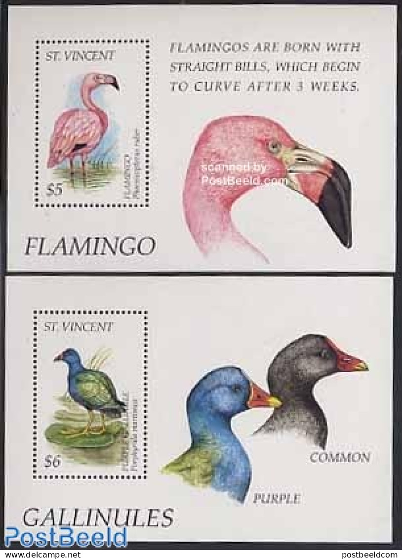 Saint Vincent 1995 Water Birds 2 S/s, Mint NH, Nature - Birds - Flamingo - St.Vincent (1979-...)