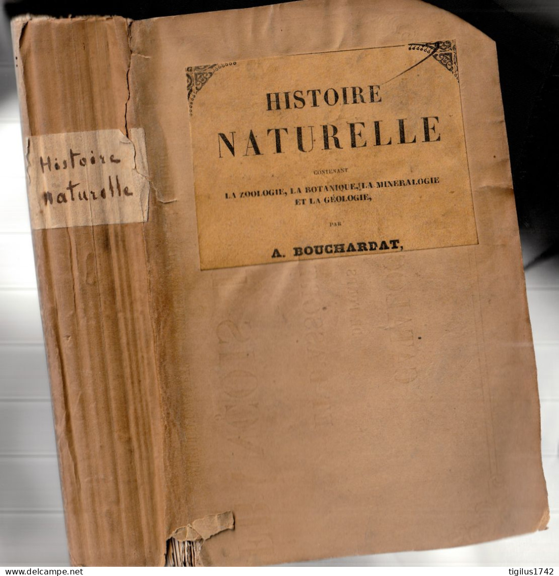 Apollinaire Bouchardat. Histoire Naturelle Contenant La Zoologie, La Botanique, La Minéralogie Et La Géologie,1844 - 1801-1900