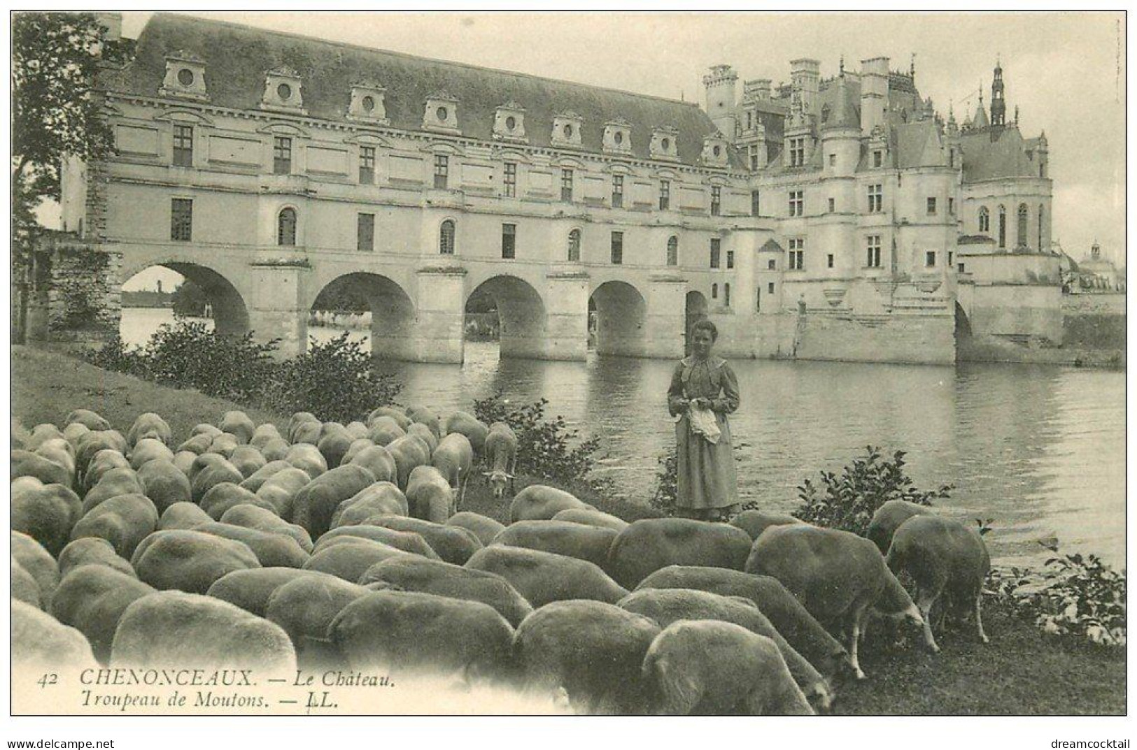 37 CHENONCEAUX. Bergère Et Troupeau De Moutons - Chenonceaux