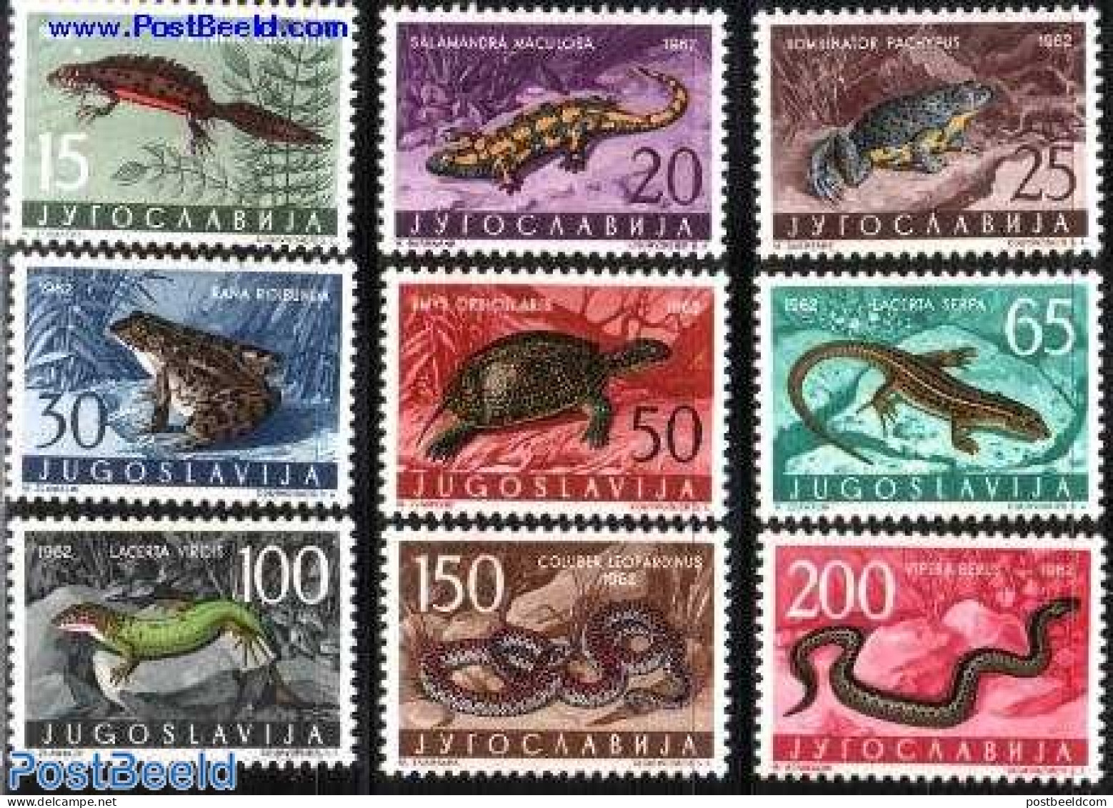 Yugoslavia 1962 Reptiles 9v, Mint NH, Nature - Animals (others & Mixed) - Frogs & Toads - Reptiles - Snakes - Turtles - Ongebruikt