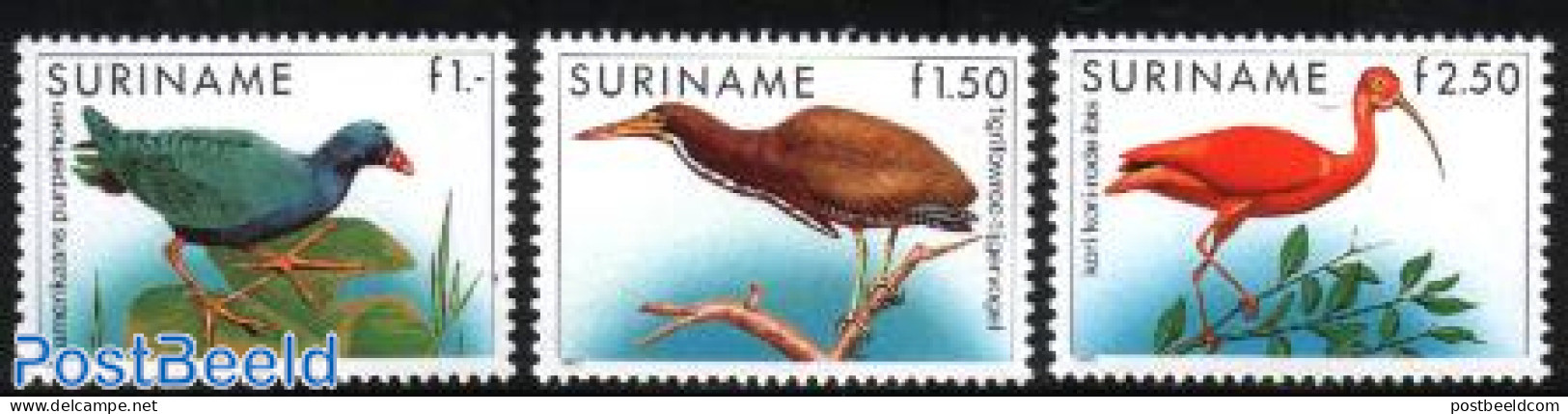 Suriname, Republic 1985 Definitives, Birds 3v, Mint NH, Nature - Birds - Suriname