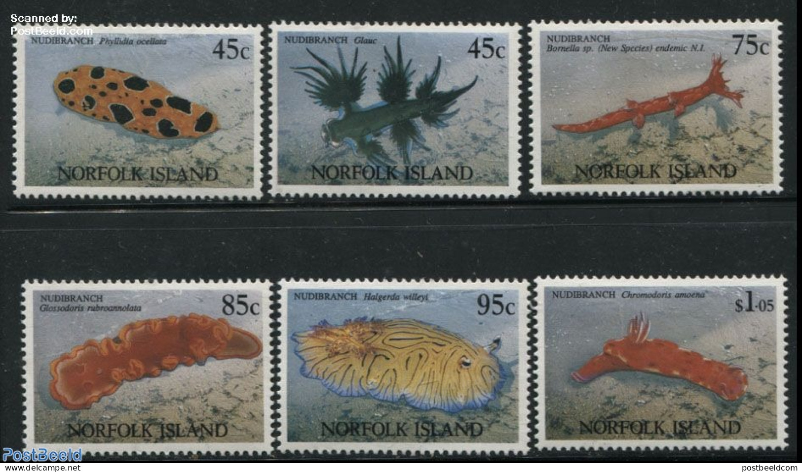 Norfolk Island 1993 Sea Snails 6v, Mint NH, Nature - Shells & Crustaceans - Vie Marine