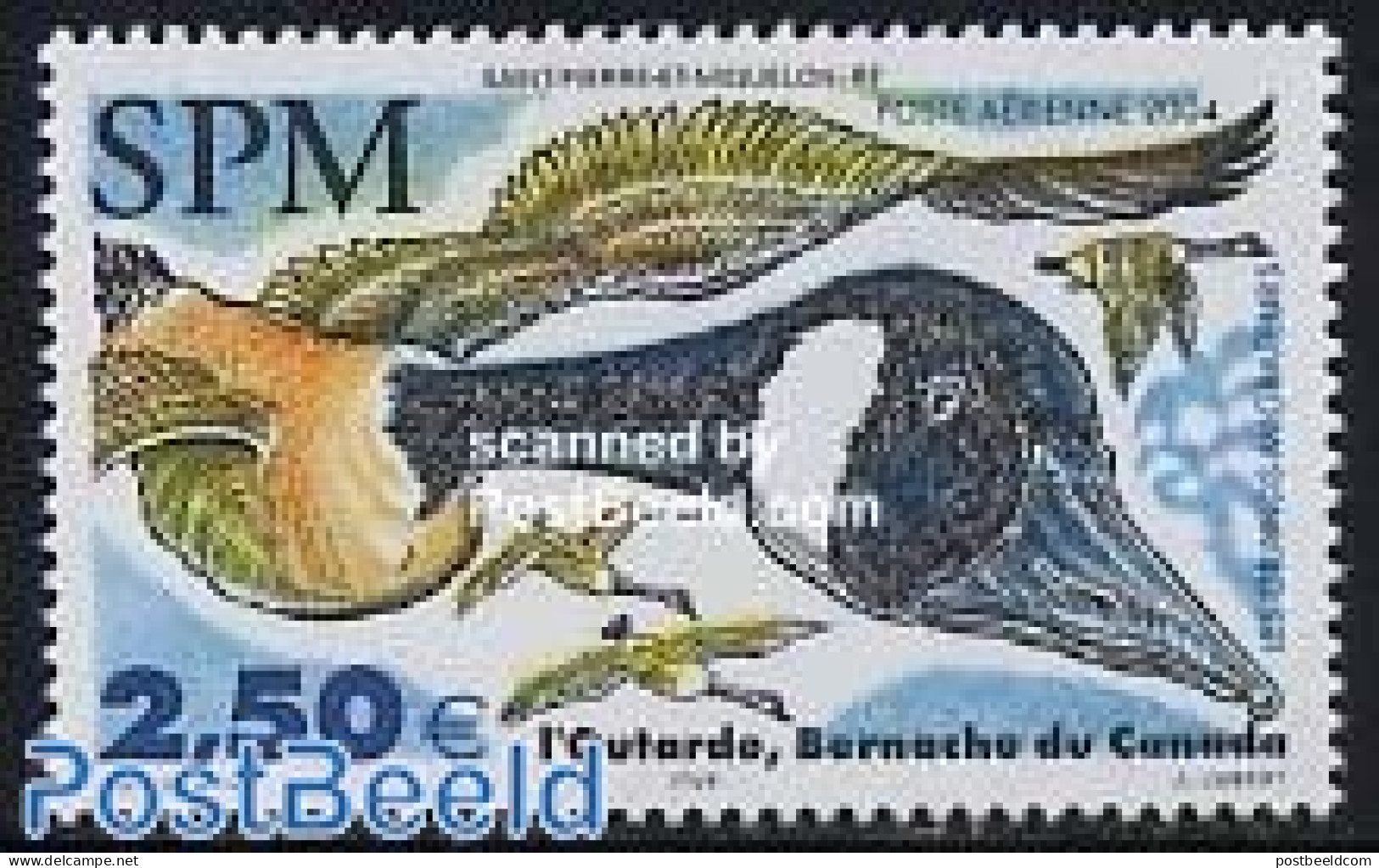 Saint Pierre And Miquelon 2004 Ducks 1v, Mint NH, Nature - Birds - Ducks - Sonstige & Ohne Zuordnung