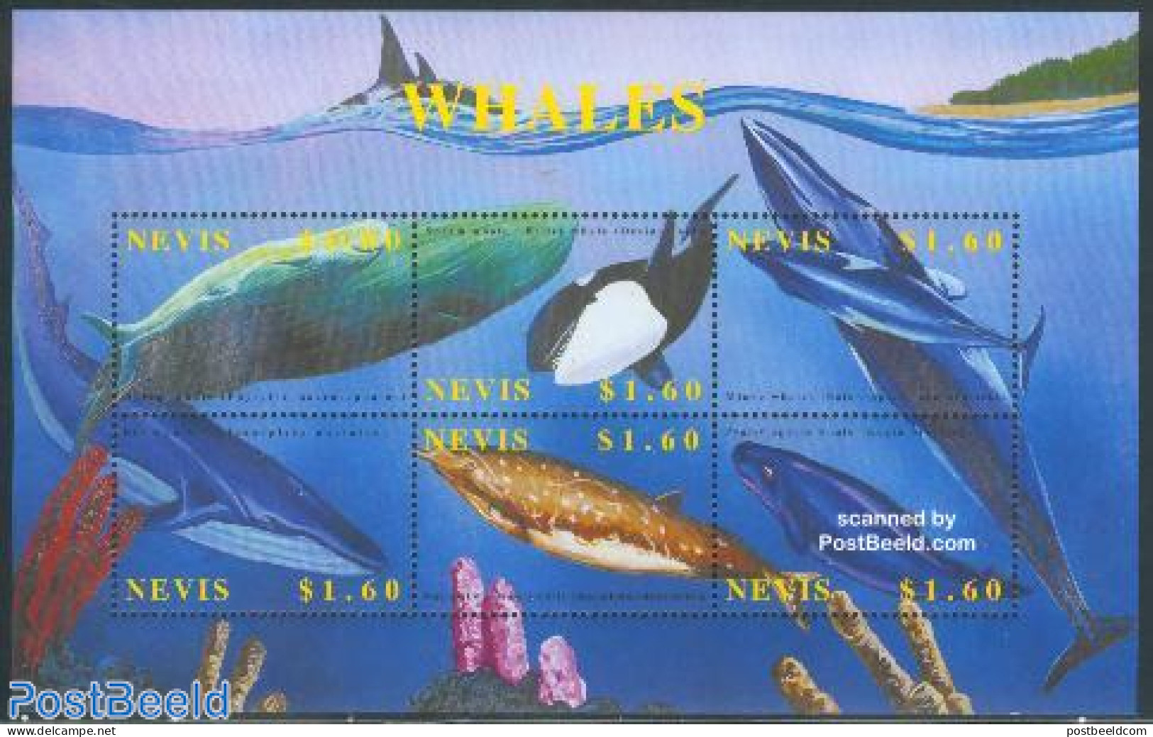 Nevis 2002 Whales 6v M/s /sperm Whale, Mint NH, Nature - Sea Mammals - St.Kitts En Nevis ( 1983-...)