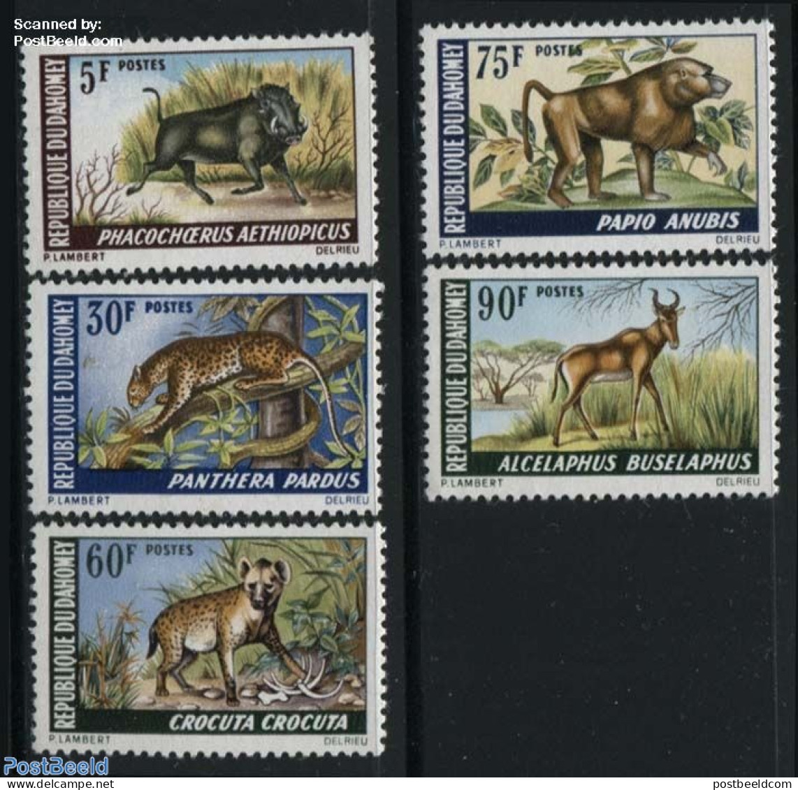 Dahomey 1969 Animals 5v, Mint NH, Nature - Animals (others & Mixed) - Cat Family - Monkeys - Sonstige & Ohne Zuordnung