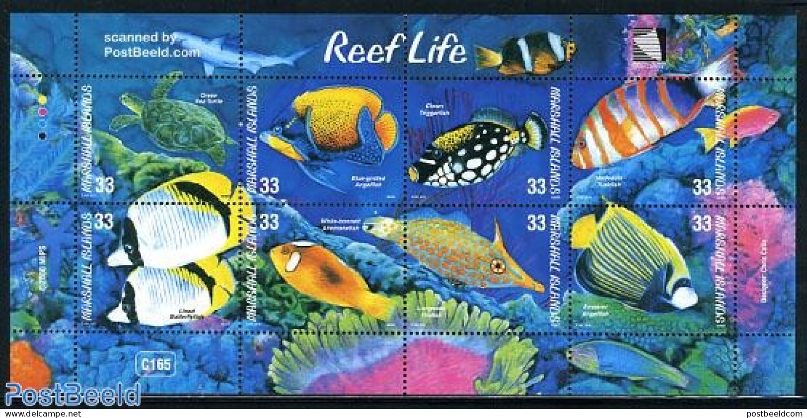 Marshall Islands 2000 Fish 8v M/s, Mint NH, Nature - Fish - Turtles - Pesci
