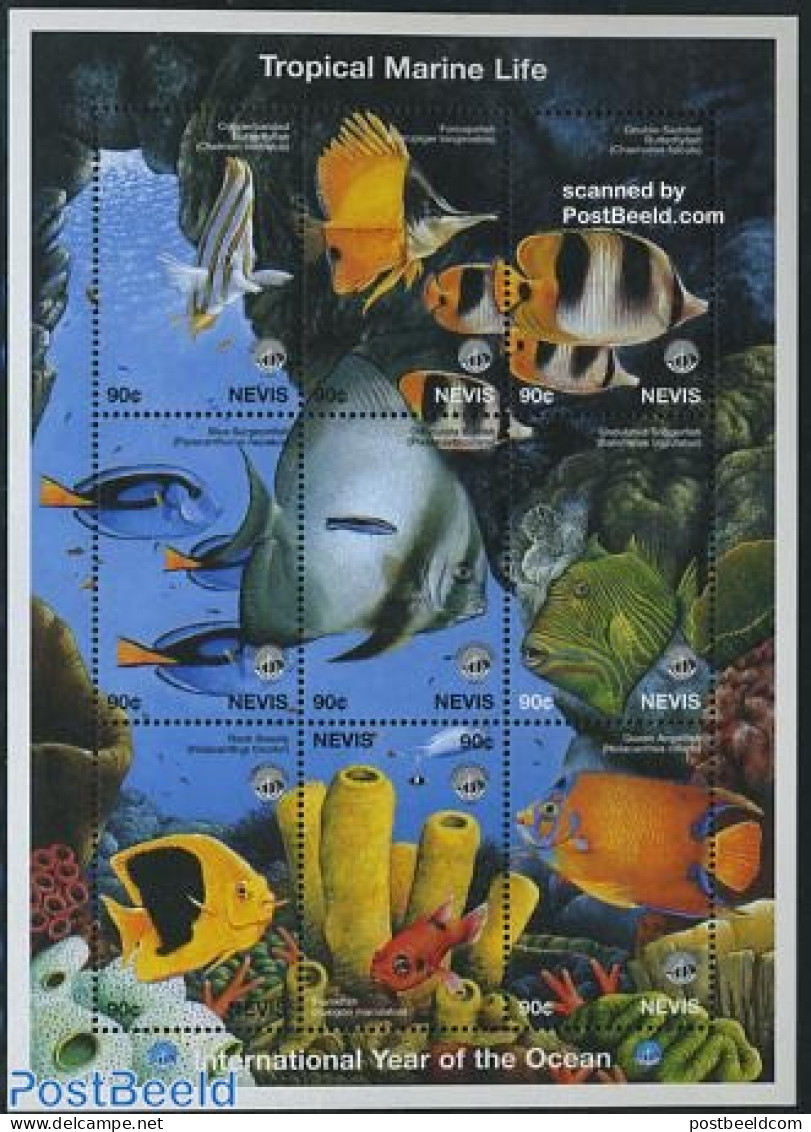 Nevis 1998 Int. Ocean Year 9v M/s, Mint NH, Nature - Fish - Pesci