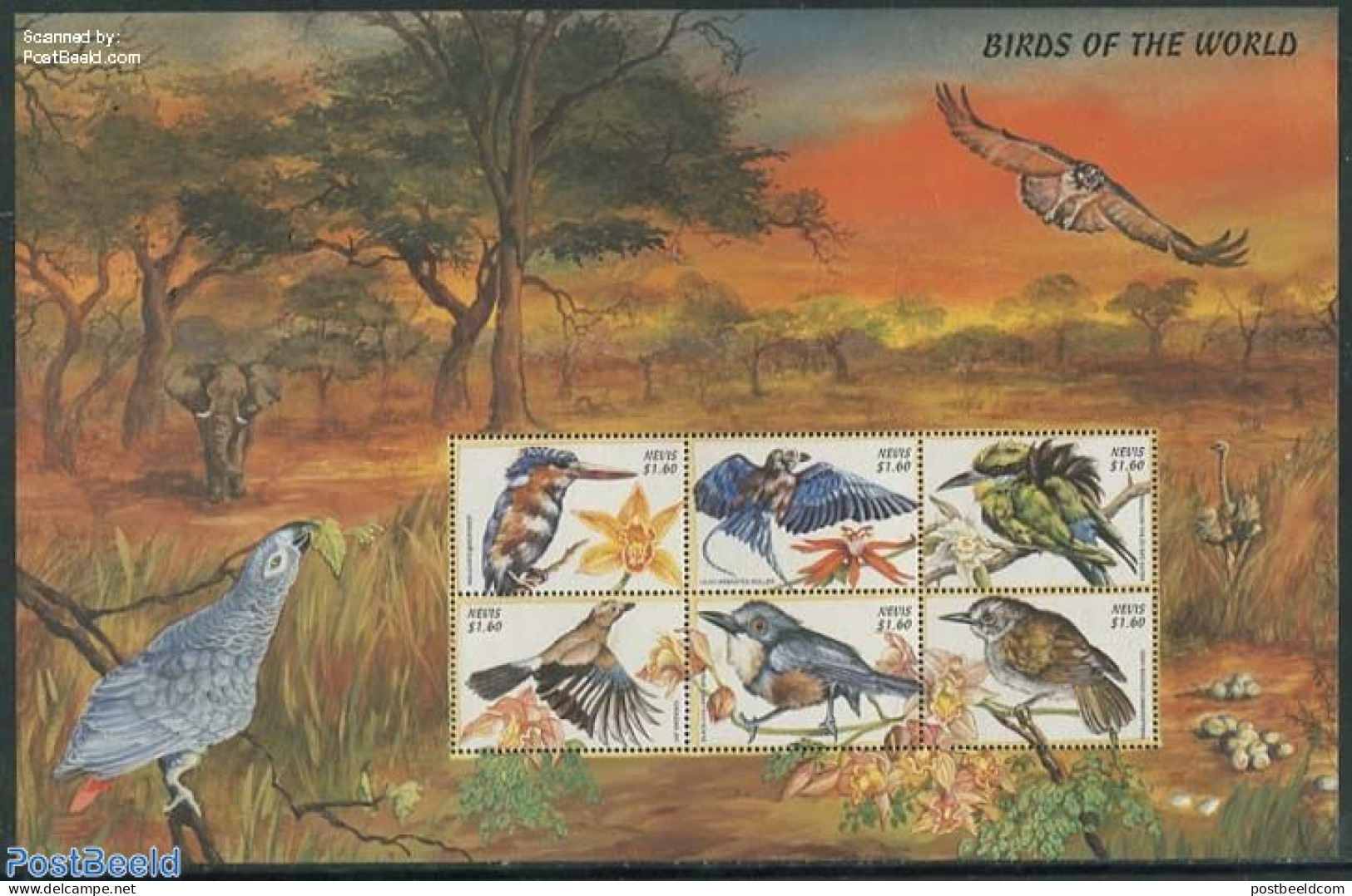 Nevis 1999 Birds 6v M/s, Mint NH, Nature - Birds - Kingfishers - St.Kitts Und Nevis ( 1983-...)