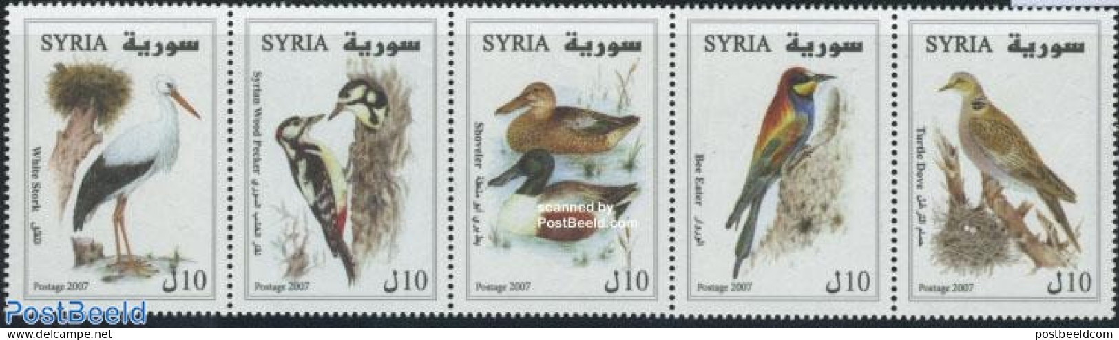 Syria 2007 Birds 5v [::::], Mint NH, Nature - Birds - Ducks - Syria