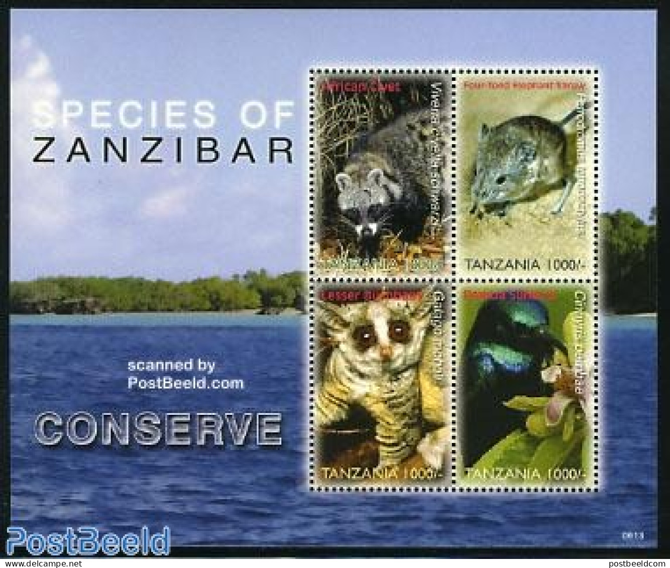 Tanzania 2006 Species Of Zanzibar 4v M/s, Mint NH, Nature - Animals (others & Mixed) - Birds - Tanzania (1964-...)